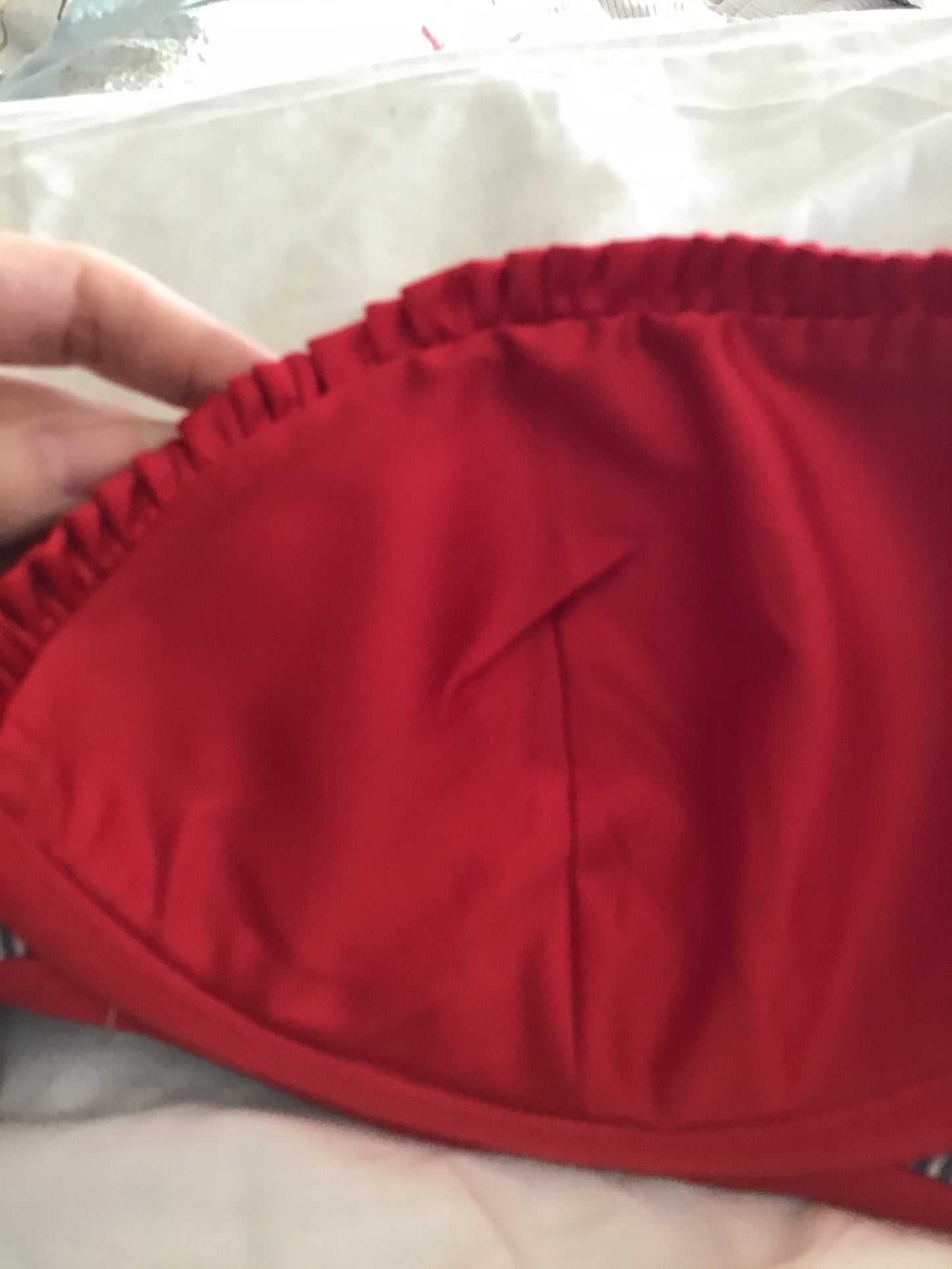 Poodles in Love BLUE Stripe with Red edging Bra