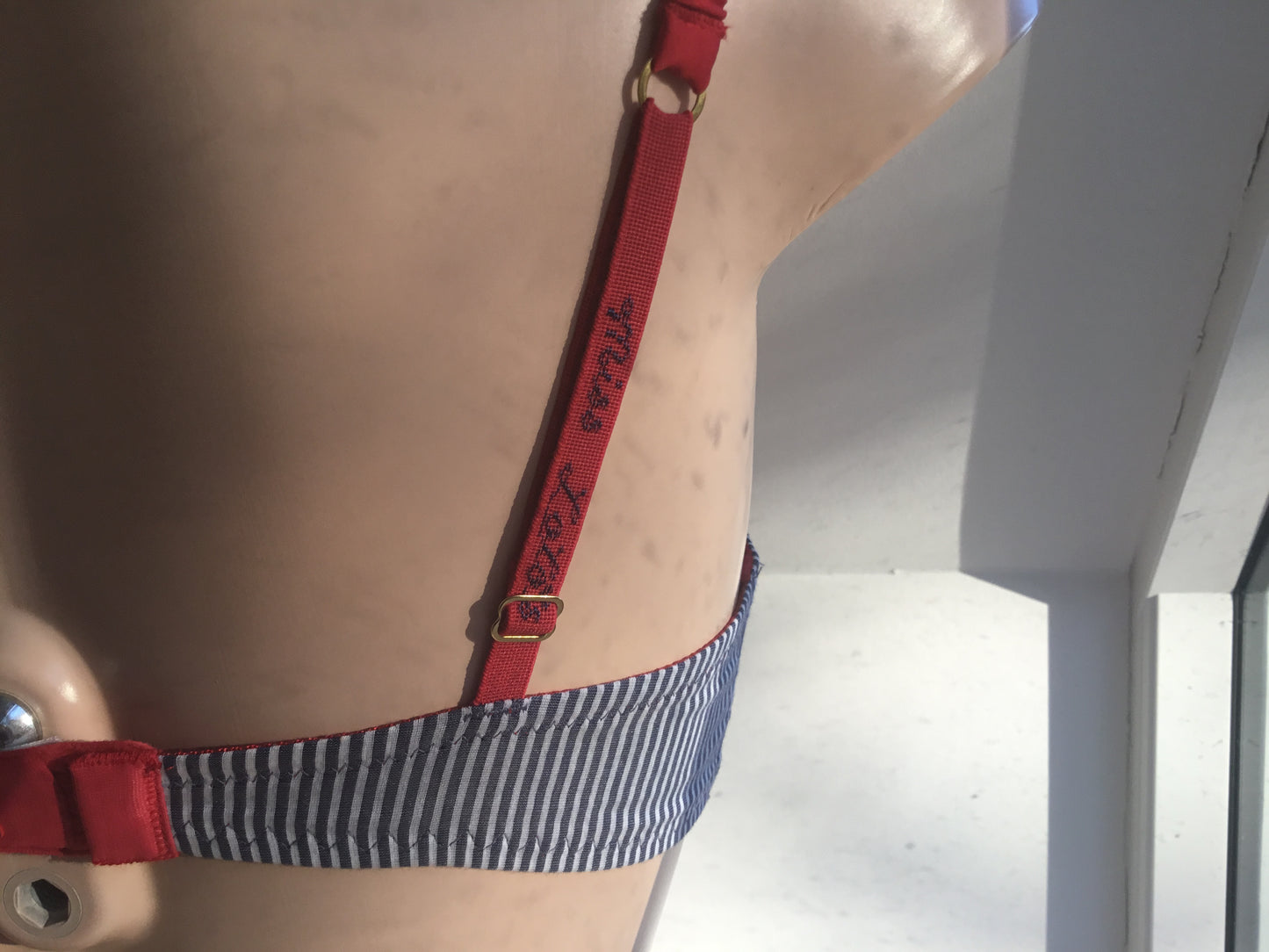 Poodles in Love BLUE Stripe with Red edging Bra