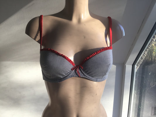 Poodles in Love BLUE Stripe with Red edging Bra